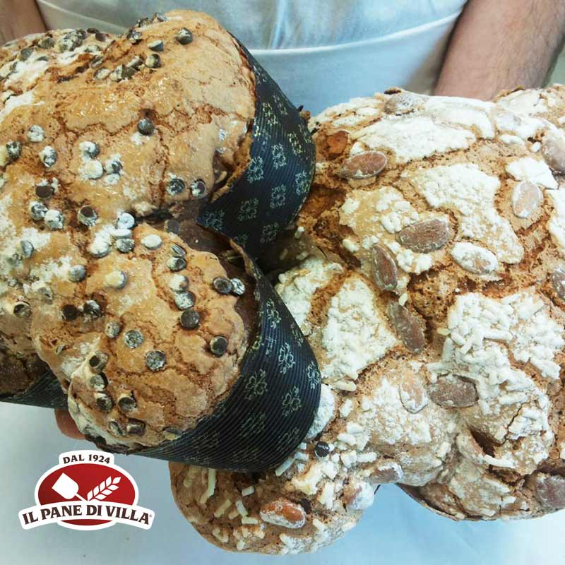 Colomba Pasquale artigianale, come nasce?